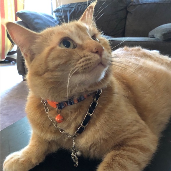 Meet your Posher, Sharon - Picture 3 of 8